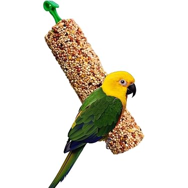 Amazon.co.jp 最新リリース: 鳥用おもちゃ の新着ランキングです。